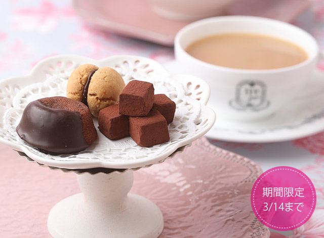チョコレートの焼き菓子セット　写真