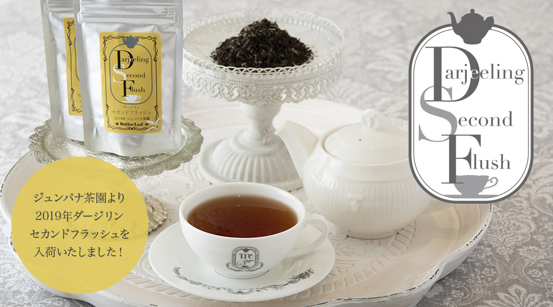 ジュンパナ茶園より2019年ダージリンセカンドフラッシュを入荷いたしました！