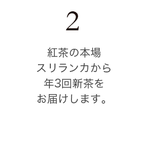 紅茶の本場スリランカから年3回新茶をお届けします。