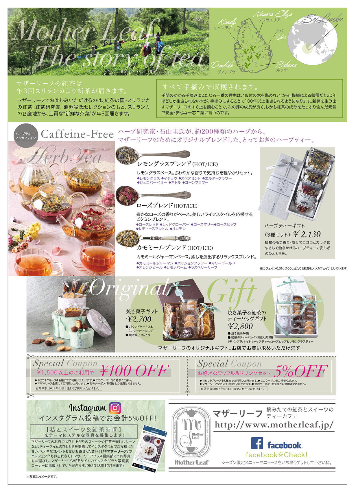 マザーリーフPRESS vol.05 | マザーリーフ -motherleaf- 摘みたて紅茶