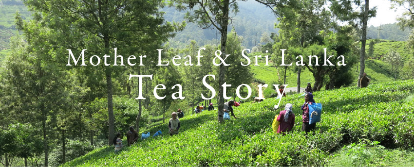 Sri Lanka Tea Story