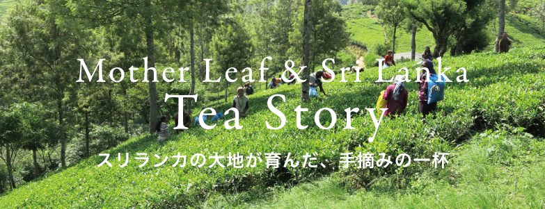 Sli Lanca Tea Story